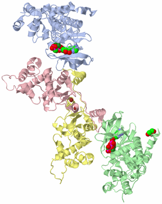 Image Asym./Biol. Unit