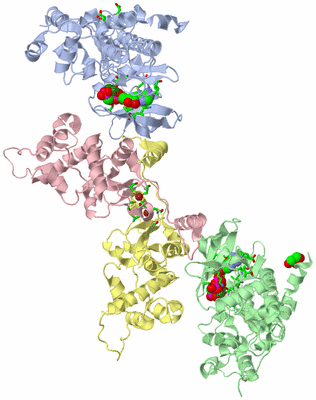 Image Asym./Biol. Unit - sites