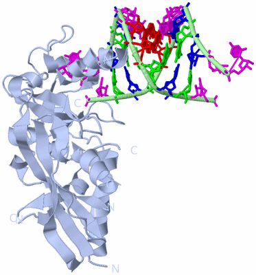 Image Biological Unit 1