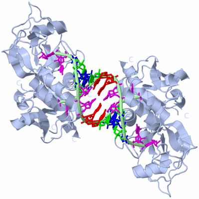 Image Biological Unit 2