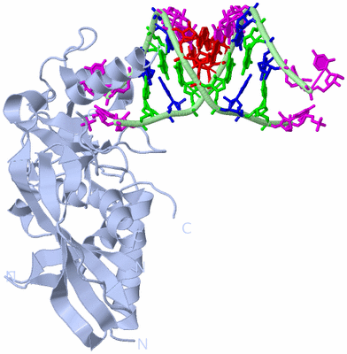 Image Biological Unit 1