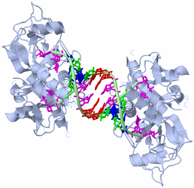 Image Biological Unit 2