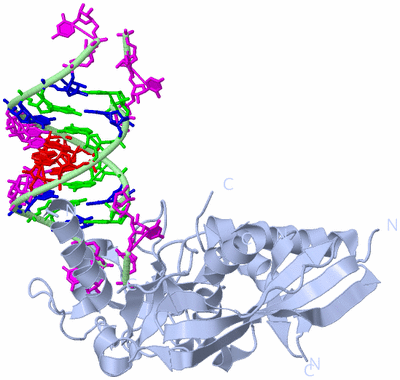 Image Biological Unit 1