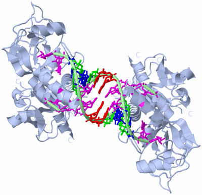 Image Biological Unit 2