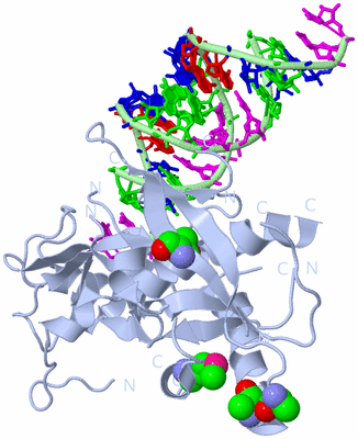 Image Biological Unit 1