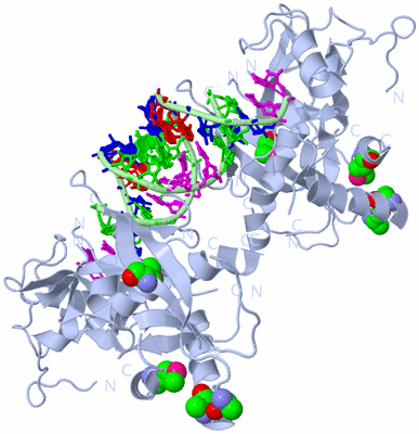 Image Biological Unit 2