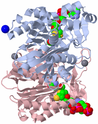 Image Biological Unit 1