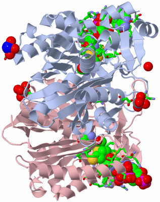 Image Biol. Unit 1 - sites