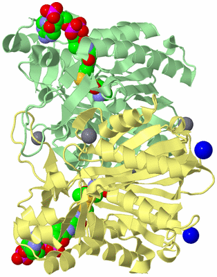 Image Biological Unit 2