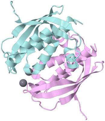 Image Biological Unit 3