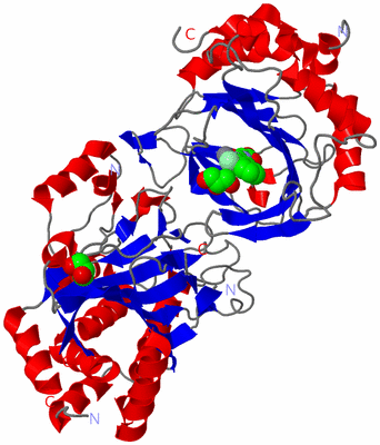 Image Asym./Biol. Unit