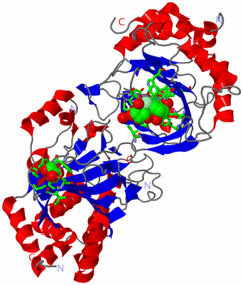 Image Asym./Biol. Unit - sites