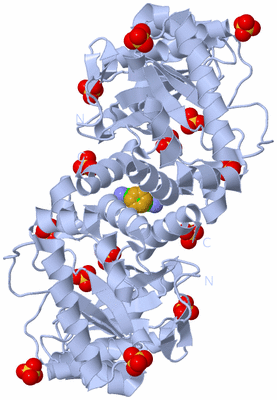 Image Biological Unit 1