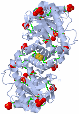 Image Biol. Unit 1 - sites