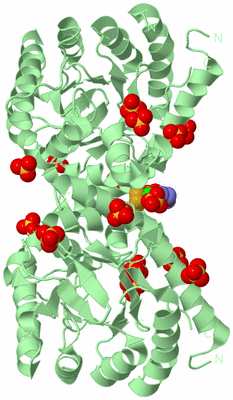 Image Biological Unit 2