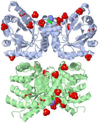 Image Biological Unit 3