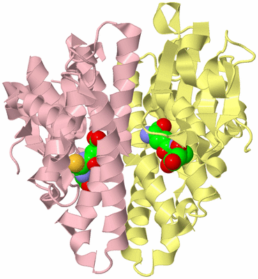 Image Biological Unit 2