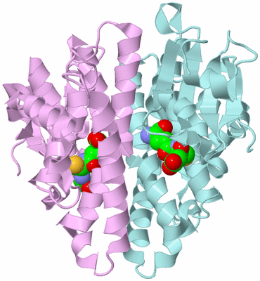 Image Biological Unit 3