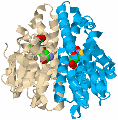 Image Biological Unit 5