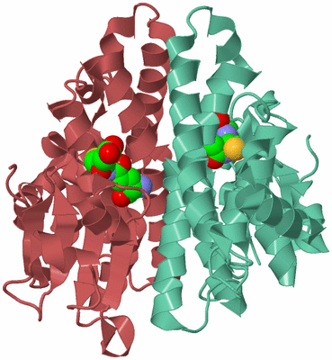 Image Biological Unit 6