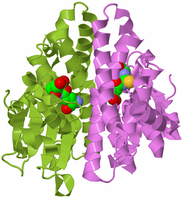 Image Biological Unit 7