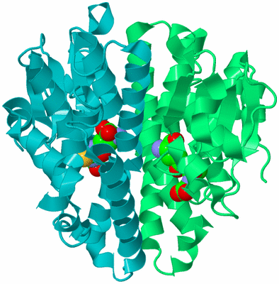 Image Biological Unit 8