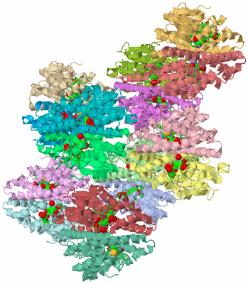 Image Asym. Unit - sites