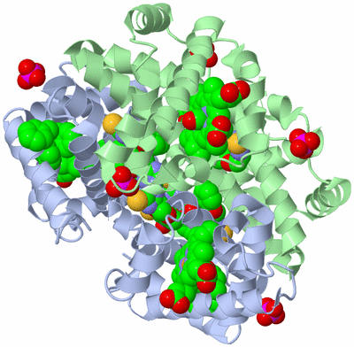 Image Biological Unit 1