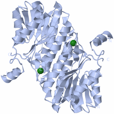 Image Biological Unit 3