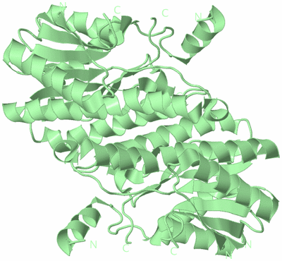 Image Biological Unit 4