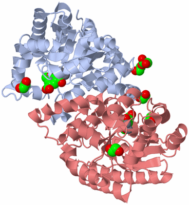 Image Biological Unit 1