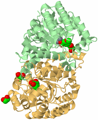 Image Biological Unit 2