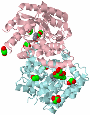 Image Biological Unit 3