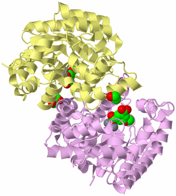 Image Biological Unit 4