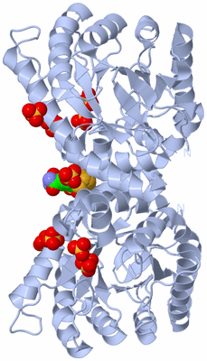 Image Biological Unit 1