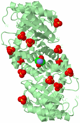 Image Biological Unit 2