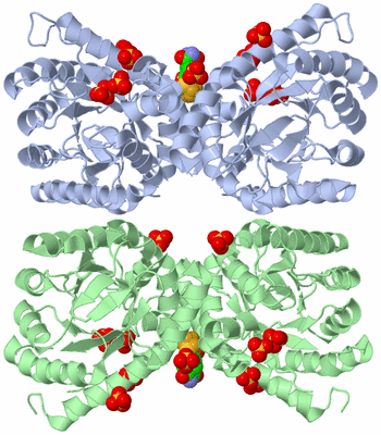 Image Biological Unit 3