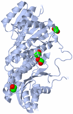 Image Biological Unit 2