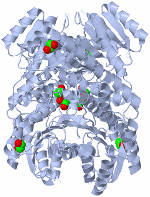 Image Biological Unit 3