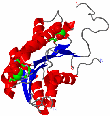 Image Asym. Unit - sites