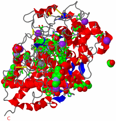 Image Asym./Biol. Unit - sites