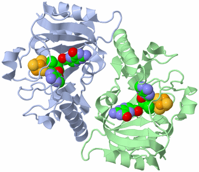 Image Asym./Biol. Unit