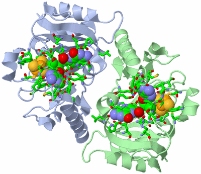 Image Asym./Biol. Unit - sites