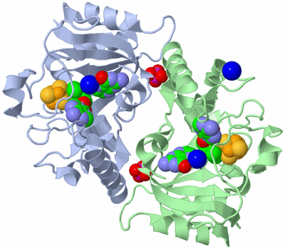 Image Asym./Biol. Unit