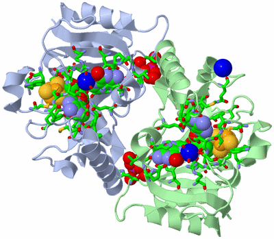 Image Asym./Biol. Unit - sites