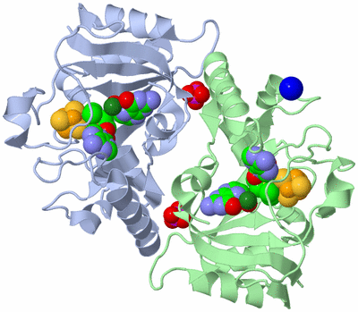 Image Asym./Biol. Unit