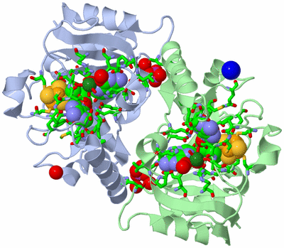 Image Asym./Biol. Unit - sites