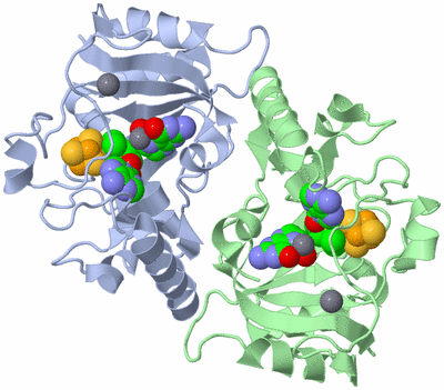 Image Asym./Biol. Unit