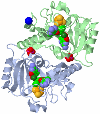 Image Asym./Biol. Unit