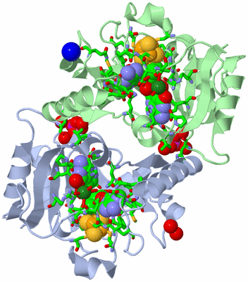 Image Asym./Biol. Unit - sites